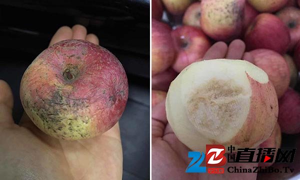 四川宜宾一幼儿园被指拿发霉苹果当孩子点心，教育局正调查