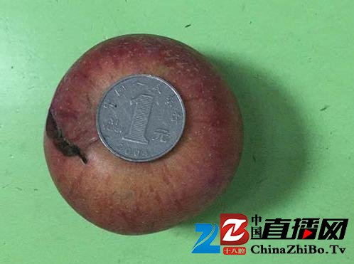 四川宜宾一幼儿园被指拿发霉苹果当孩子点心，教育局正调查