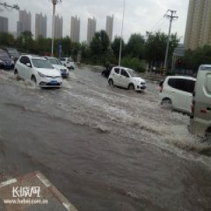 衡水发布暴雨黄色预警 未来24小时将迎大到暴雨