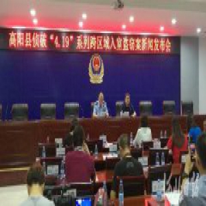 高阳警方打掉一跨区域系列入室盗窃团伙 已核实案件320起