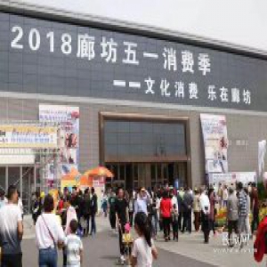 获20万元国家奖励！廊坊入选国家文化消费试点城市奖励计划