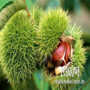 承德市3村镇入选全国一村一品示范村镇