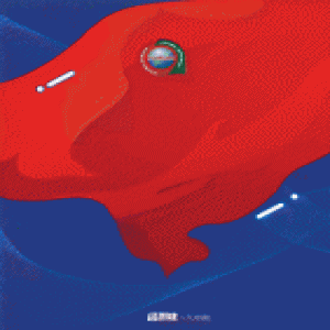 中非合作论坛北京峰会前瞻丨共筑繁荣发展的未来之桥