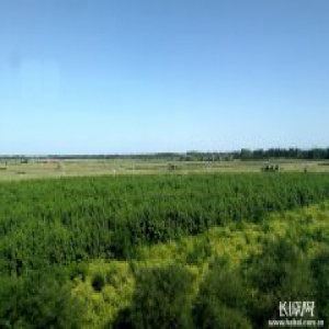 河北再发高温橙色预警 中南部局地可达39℃至40℃