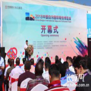 白沟国际箱包博览会开幕