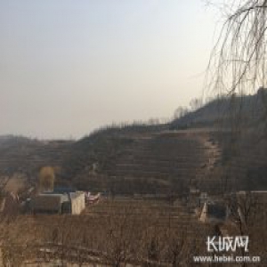 【扶贫人物志】情系扶贫写大爱 他们唱响生命之歌