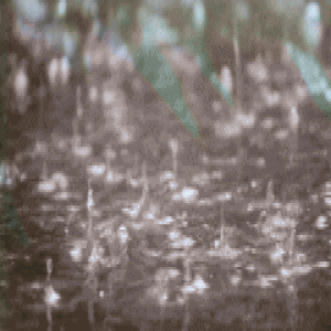 暴雨中，这些感人的瞬间刷爆朋友圈.....