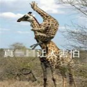 现在的复印店老板，真的太暴躁了！