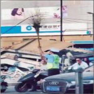 拿笤帚托举垂落电线90分钟 “最美背影”交警走红