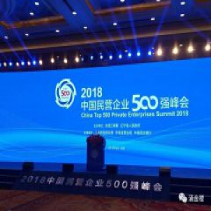 入围中国民企500强的浙企又少了 好事还是坏事？