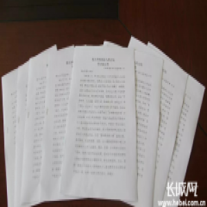 衡水多种联合惩戒手段齐发力 让老赖无处遁形