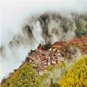 感受长江新气象 见证发展新成就