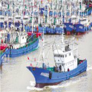 风雨中，他们与“摩羯”赛跑