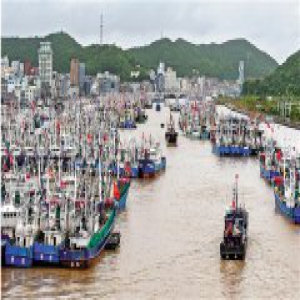 浙江全省党员干部群众奋力防御台风“温比亚”