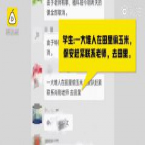 损失上千万！请不要再偷他们的玉米了！