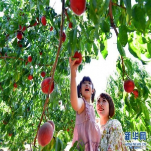 河北滦州：荒山变身富农生态园