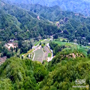 【壮丽70年·奋斗新时代】蹲点调研·花满太行：北方有嘉木