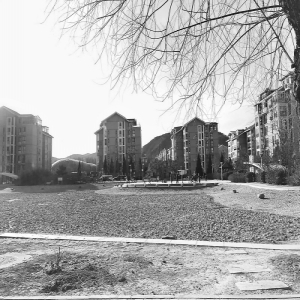 古月园小区 物业“应急”3年多咋撤不走？