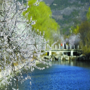 植物园150万余株春花盛放 装点春色