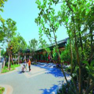 京味儿浓 4处口袋公园添彩什刹海