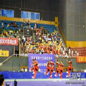 河北省第十五届运动会 青少年组武术套路比赛圆满落幕