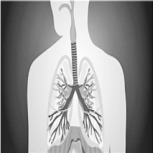 一次大扫除，差点丢了命