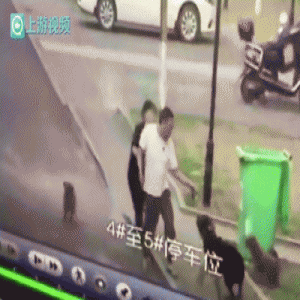 “恶犬伤人”，主人不露面就能躲过去？