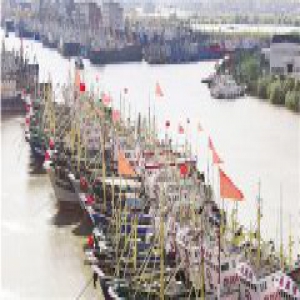 我省启动防台风Ⅲ级响应 船回港 客撤离 人到位