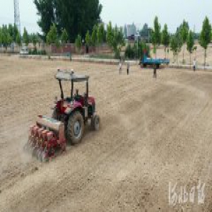 【新时代新作为新篇章】河北省乡村振兴战略实现良好开局