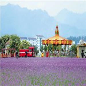 和谐生态 孕育绿色新动能