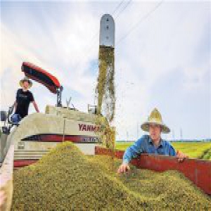 高效生态 焕发一产新活力