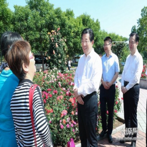 王东峰在秦皇岛市调研检查