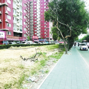 万源北路便道变通畅 占据便道停车情况明显减少