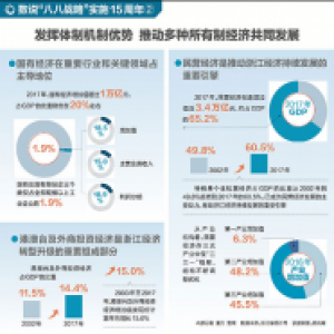 发挥体制机制优势 推动多种所有制经济共同发展