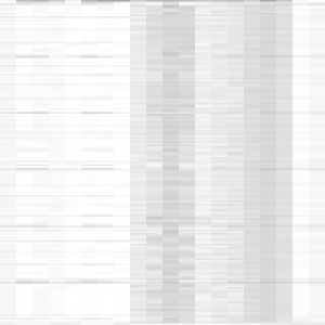 13所高职（高专）院校招1170名贫困家庭学生 附招生计划表