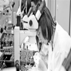 今年地方高校“111计划”公布 浙江农林大和温医大入选