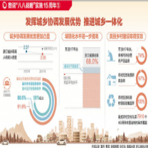 发挥城乡协调发展优势 推进城乡一体化