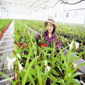 【推动高质量发展调研行】安国市提速中药产业现代化调查