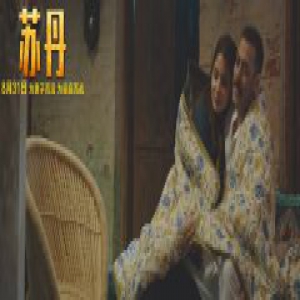 印度电影《苏丹》曝“为家庭而战”预告 萨尔曼·汗遭遇信任危机