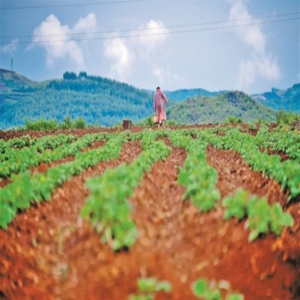 电商时代，农民如何获得更多农货收益？