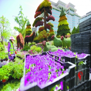 京城花团锦簇喜迎盛会 24日至27日所有夜景照明全开