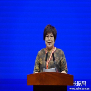 【河北“双创”周】“最美农民工”苑英芳：小工坊成就大梦想