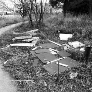 街心花园绿地垃圾乱堆成了“癞痢头”