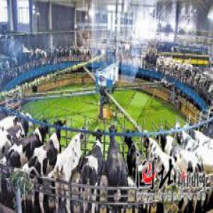 【新时代新作为新篇章】让优质奶源成就优质奶产品