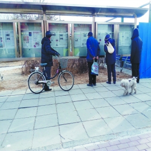 燕化星城街心花园改造仍在继续 报栏恢复座椅加固