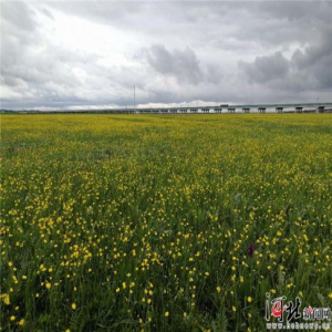 【新时代新作为新篇章】张家口高质量推进“七大产业”绿色发展