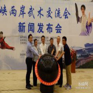 第二届海峡两岸武术交流会将于8月18日在石家庄举办