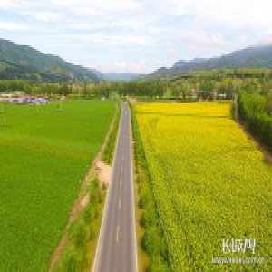 惊艳+震撼 30秒带您领略承德坝上秀美风光