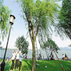 全力以赴迎战台风“安比”