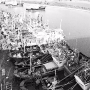 拖着大团水汽，慢性子“安比”扑向我们